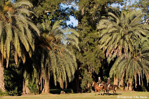288-Buenos Aires_Villa Maria_horses2_estanciavillamaria.com_500px.jpg